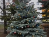 20181213_154451