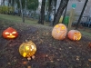 20181031_070838